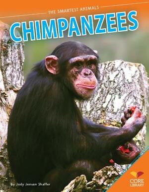 Chimpanzees by Jody Jensen Shaffer