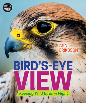 Bird's-Eye View: Keeping Wild Birds in Flight by Ann Eriksson