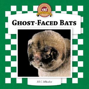 Ghost-Faced Bats by Jill C. Wheeler