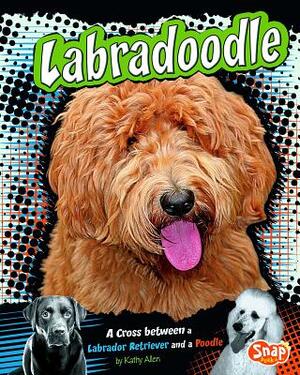 Labradoodle: A Cross Between a Labrador Retriever and a Poodle by Kathy Allen