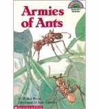 Armies of Ants by Jean Cassels, Walter Retan