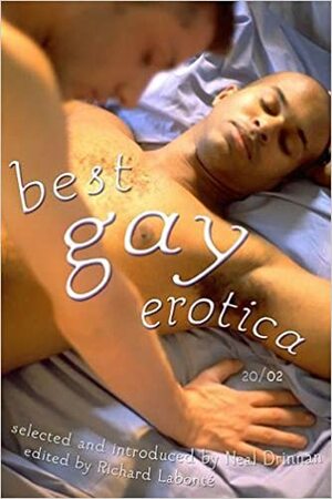 Best Gay Erotica 2002 by Neal Drinnan, Richard Labonté, Richard Labonté, Richard Lobonate