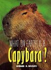 What on Earth Is a Capybara? (What on Earth) by Bruce S. Glassman, Edward R. Ricciuti