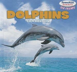 Dolphins by Sam Drumlin