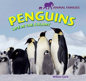 Penguins: Life in the Colony by Willow Clark