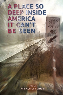 A Place So Deep Inside America It Can't Be Seen: Poems by Kari Gunter-Seymour