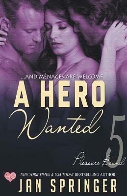 A Hero Wanted by Jan Springer