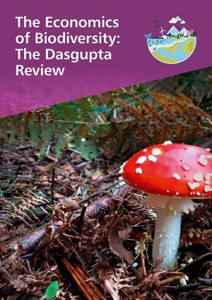 The Economics of Biodiversity: The Dasgupta Review by Partha Dasgupta