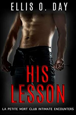 His Lesson: A BDSM, contemporary romance by Teragram Author Services, Ellis O. Day