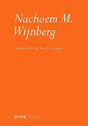 Nachoem M. Wijnberg by Nachoem M. Wijnberg