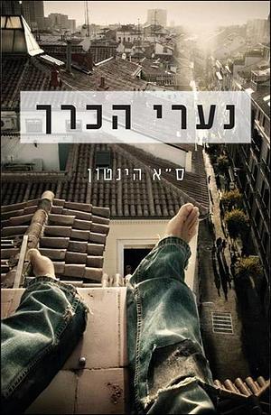 נערי הכרך by S.E. Hinton