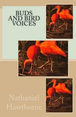 Buds and Bird Voices by Nathaniel Hawthorne