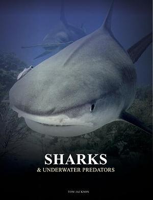 Sharks & Underwater Predators  by Tom Jackson