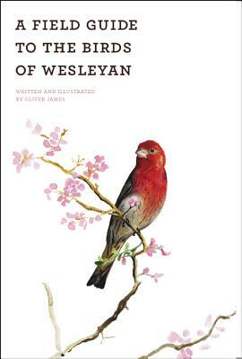 A Field Guide to the Birds of Wesleyan by Oliver James