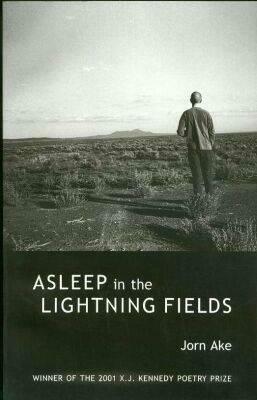 Asleep in the Lightning Fields by Jorn Ake