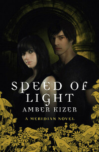 Speed of Light by Amber Kizer