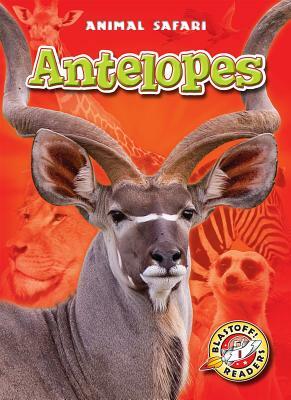 Antelopes by Margo Gates
