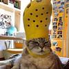 _hannahbutt's profile picture