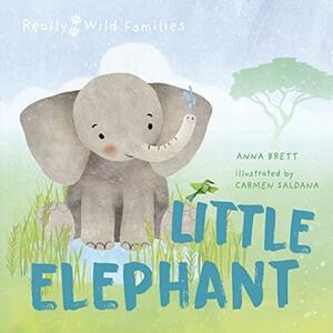 Little Elephant: A Day in the Life of a Elephant Calf by Anna Brett, Carmen Saldana