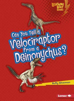 Can You Tell a Velociraptor from a Deinonychus? by Buffy Silverman