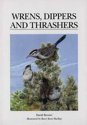 Wrens, Dippers and Thrashers by David Brewer