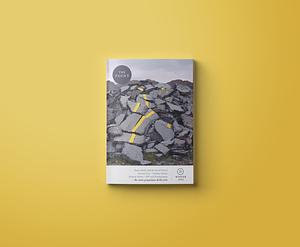 The Point, no. 31 by Natasha Lehrer, Rob Madole, Lin Atnip, James Redfield, Rosemarie Ho, Carmen Boullosa, Vikrant Dadawala, Greg Jackson, Samantha Schnee, Sabine Huynh, Ann Manov, Szczepan Twardoch, Sean Gasper Bye, Julianne McCobin