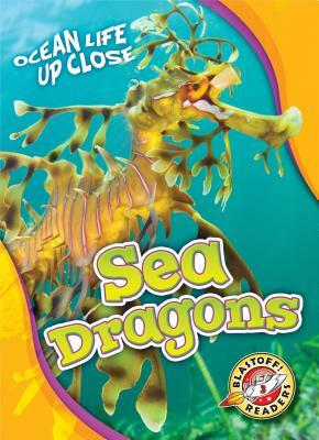 Sea Dragons by Heather Adamson