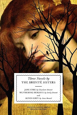 Three Novels by the Bronte Sisters by Emily Brontë, Anne Brontë, Charlotte Brontë