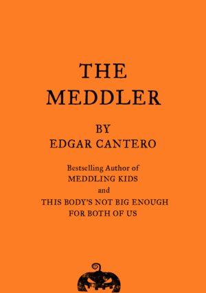 The Meddler by Edgar Cantero