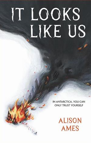 It Looks Like Us by Alison Ames