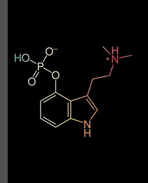 C12h17n2o4p: A Composition Book for a Psylocybin Shroom Lover or Chemistry Student by Eternity Journals