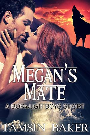 Megan's Mate by Tamsin Baker