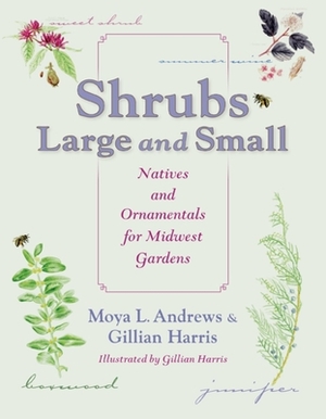Shrubs Large and Small: Natives and Ornamentals for Midwest Gardens by Moya L. Andrews