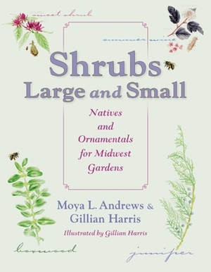 Shrubs Large and Small: Natives and Ornamentals for Midwest Gardens by Moya L. Andrews