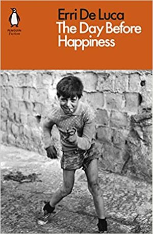 The Day Before Happiness by Erri De Luca