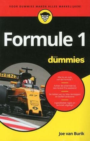 Formule 1 voor dummies by Joe van Burik