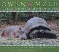 Amazing True Story of Owen and Mzee by Craig Hatkoff, Isabella Hatkoff, Paula Kahumbu