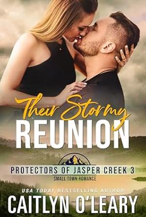 Their Stormy Reunion by Caitlyn O'Leary