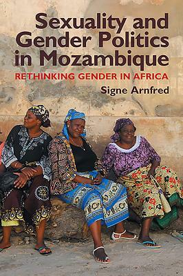Sexuality and Gender Politics in Mozambique: Rethinking Gender in Africa by Signe Arnfred