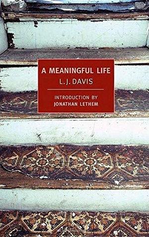 A Meaningful Life (New York Review Books Classics) by Davis, L.J.(March 10, 2009) Paperback by L.J. Davis, L.J. Davis