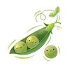 peapod83's profile picture