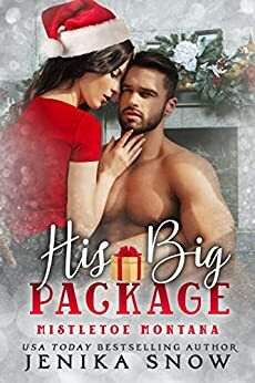 His Big Package by Jenika Snow