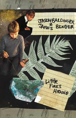 Little Fires Hiding by Jason Baldinger, James Benger