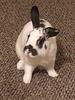 dryriver's profile picture