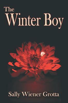 The Winter Boy by Sally Wiener Grotta
