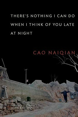 There's Nothing I Can Do When I Think of You Late at Night by Naiqian Cao