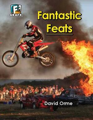 Fantastic Feats (Don't Do This at Home) by David Orme