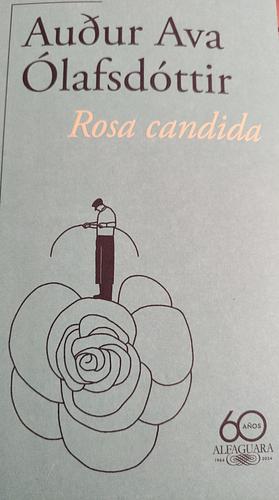 Rosa candida by Auður Ava Ólafsdóttir