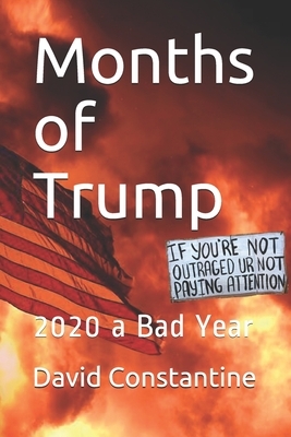 Months of Trump: 2020 a Bad Year by David Constantine
