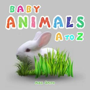 Baby Animals A to Z by Alex Smith